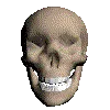 Skull322