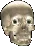 Skull327