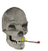 Skull389
