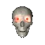 Skull564