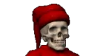 Skull572