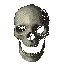 Skull711