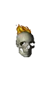 Skull721
