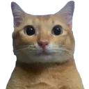 BaBemStare BaBemStare