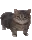 boingingcat