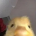 percy