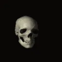 skullspin