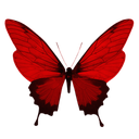 red_butterfly Discord emoji