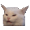 FZ_what_cat Discord Emoji