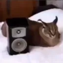 a61c1758ee2b7cd0d1dc5abbf1f4d7a7