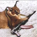 fa0bdad8e060e8a7d644ad37a8d0f856