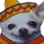 adios