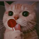 Sj_catlollypop