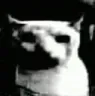 Meme_darc