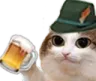beercat