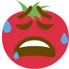 weary_tomato