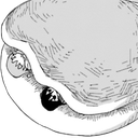 Shijima_PancakeZZzzZZZ