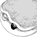 Shijima_PancakeZZzzZZZ