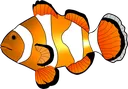 Clownfish