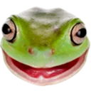 frog Discord Emoji