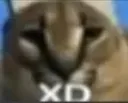 d_xd d_xd