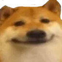 doge Discord Emoji