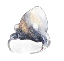 wormHead wormHead