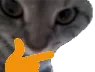 ungatothink
