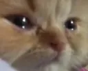 sad1