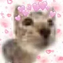 cat_love
