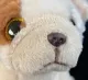 powerfuldog powerfuldog