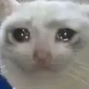 FHheartBroken