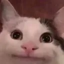 FHsmirk