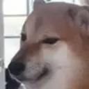 FHstinky