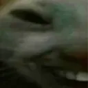 xdd