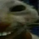 xdd1