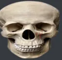 wideskull