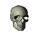 RotatingSkull