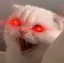 Cat Triggered Discord Emoji