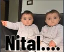 hns_nital