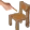 SIT