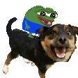 sc_Pepe_Ride_Dog