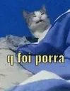 q_foi