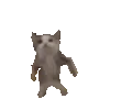 cat_dance