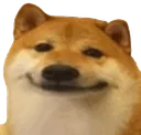 smiledoge smiledoge