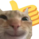 yes