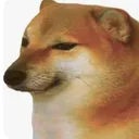 serious_bruh