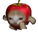 applecatrunn