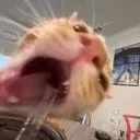 yooo yooo