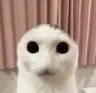 emoji_1 emoji_1